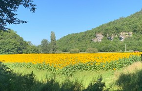 88D4BB92-B5B6-407C-9260-6F123EF1374E_1_201_a.jpg